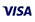 Visa Card Logo